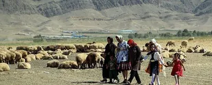 اگر به پابرهنه ها مهربانی کردیم، مسئول نظام اسلامی هستیم