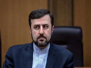 ایران شفاف&zwnj;ترین برنامه هسته&zwnj;ای را در میان اعضاء دارد/ انفجار &laquo;نطنز&raquo; خرابکاری بود