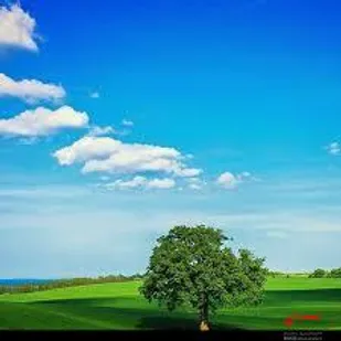 برگزاری جشنواره فرهنگی مازندران پاک
