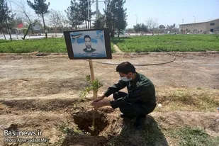 غرس بیش از 170 اصله نهال به یاد شهدا در ناحیه ویژه سپاه زاهدان