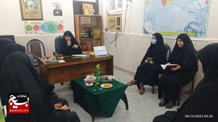 آسیب های حوزه زنان در شادگان اولویت بندی می شوند