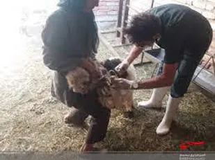 اردوی جهادی بسیج مهندسین جامعه کشاورزی کوهدشت در مناطق محروم