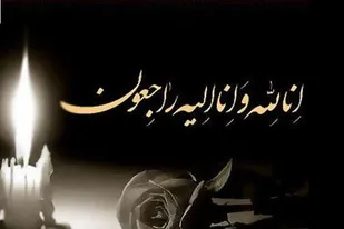 پیام تسلیت دکتر توشه در پی جانباختن شش نفر از نیروهای عملیاتی صنعت برق در سیل کرمان