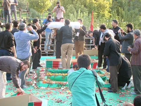 بوستان شقایق میزبان شقایق های عاشق شد