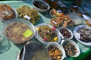 جشنواره غذا به مناسبت هفته بسیج برگزارشد