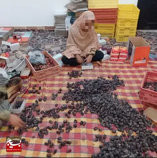 برگزاری اردوی یک روزه جهادی در زاهدان
