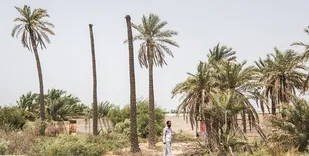 تب ۵۰ درجه در شوش
