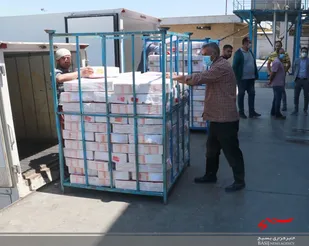 ذخیره سازی ۲ هزار تن مرغ منجمد در استان قزوین