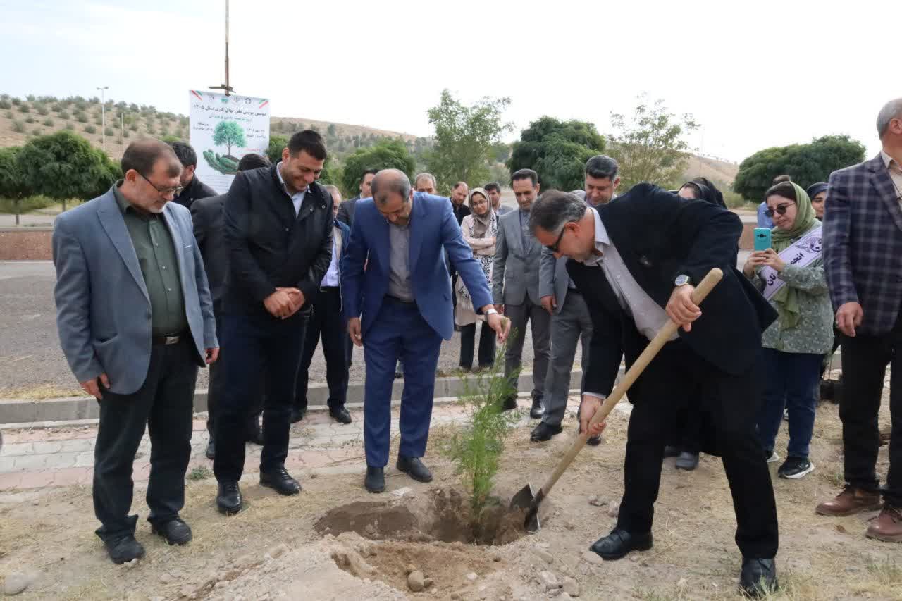 کاشت ۱۰۰ اصله نهال در ورزشگاه یادگار امام (ره) تبریز؛ تداوم پویش‌های درختکاری در آذربایجان شرقی