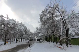بارش برف سنگین در استان همدان