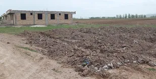 ادای دین به آراللو