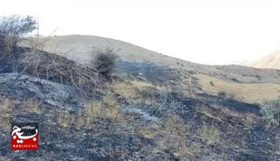 مهار آتش سوزی در منطقه &laquo;حاجی آرخی&raquo; روستای لرد خلخال