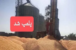 کشف احتکار ۴۷۵ تن گندم در کبودراهنگ