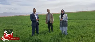 اجرای موفق رزمایش جهاد امنیت غذایی پایدار در ۲۵۰ روستای استان خراسان&zwnj;رضوی+فیلم و تصاویر