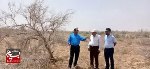 کنترل آفت &laquo;ملخ کوهاندار تاغ&raquo; در گناباد با تکیه بر مدیریت جهادی و مشارکت مردمی