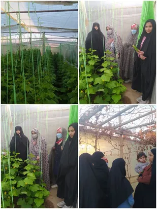 بازدید حوزه حضرت معصومه از گلخانه نمونه روستای کسرق