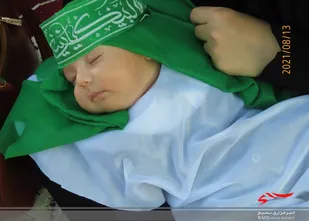 همایش شیرخورگان حسینی در بهارستان