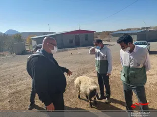 اعزام تیم دامپزشکی و تیم تخصصی کشاورزی به روستای آرن از توابع شهرستان بافت