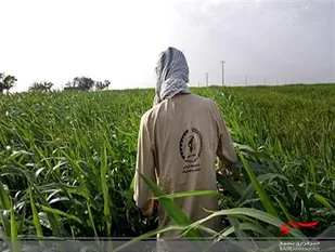 افتتاح طرح &laquo;بسیج همگام باکشاورز&raquo;در مازندران