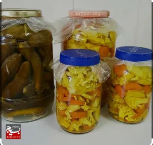 برگزاری کارگاه آموزشی تولید انواع ترشی و شوریجات