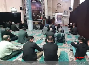 ۲۹موکب و 500 خادم  استان در خدمت زایرین اربعین