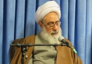 دانش آموزان ممتاز با آیت الله شبستری دیدار کردند