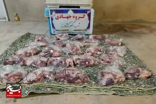 خدمت جهادی این بار از نوع قربانی گوسفند توسط گروه جهادی شهرستان فراشبند