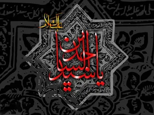 امام سجاد(ع) از کربلا تا شهادت