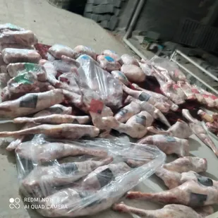 توزیع ۷۰ بسته مواد پروتئینی بین کارگران نیازمند یاسوج توسط گروه جهادی شهید برونسی