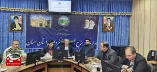 تولید و کاشت ۱۱ میلیون نهال در استان سمنان