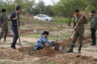 کاشت نهال در دهکده شهدای قدس دشت آزادگان