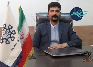 هرس سنگین درختان شاهرود با هدف جوان سازی اجرایی شد