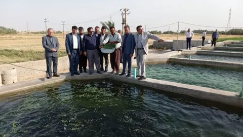 بازدید مسئول بسيج مهندسين صنعت و معدن خوزستان از طرح پرورش ماهی در روستای ویسی گلزرد