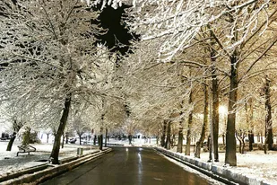 زیبایی برف در ملایر