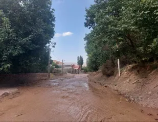 سیل در روستای توآباد شهرستان آوج خسارت جانی نداشت/آماده باش کامل دستگاه&zwnj;های امدادی&nbsp;