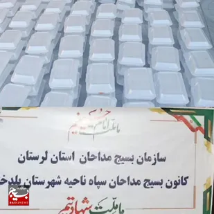 ۳۰۰۰ پرس غذای نذری و ۱۰ ایستگاه صلواتی؛ کارنامه فعالیت&zwnj;های عاشورایی مداحان پلدختر