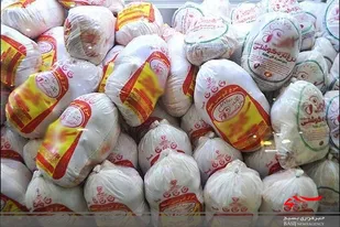 توزیع گوشت مرغ منجمد در بازار استان سیستان و بلوچستان