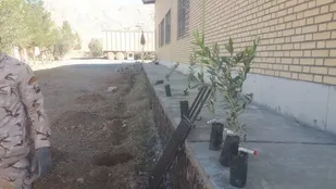 کاشت نهال مثمر به نام شهدا توسط رزمندگان و بسیجیان