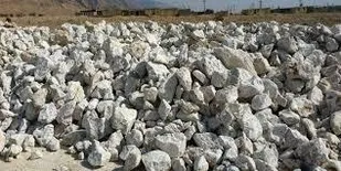 توقیف ۶۹ تن سیلیستین در شاهرود