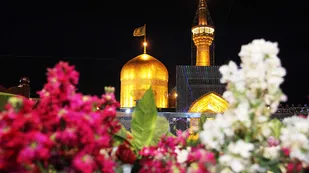 حال و هوای حرم مطهر رضوی در شب میلاد امام علی(ع)