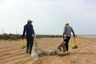 پاکسازی جزایر زیست محیطی بوشهر اول خرداد آغاز می&zwnj;شود
