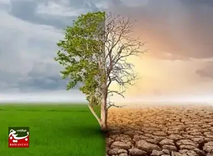 درختکاری؛ از ارکان حیاتی حفظ محیط زیست