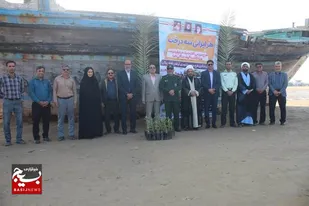 کاشت درخت حرا در سواحل دلوار