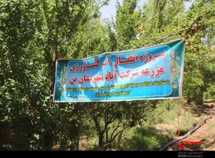 انتقال آب به مزرعه شرکت آباد در شهرستان بن