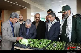 جشنواره دانشگاه نوآور، عشایر کارآفرین، سلامت و امنیت غذایی