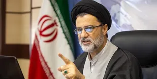 یک نماینده مجلس، "آژانس بین المللی انرژی اتمی" را به جاسوسی متهم کرد