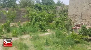 شناسایی و قطع ۳۷فقره انشعاب آب غیرمجاز در طی دو ماهه اخیر در سطح شهرستان زهک