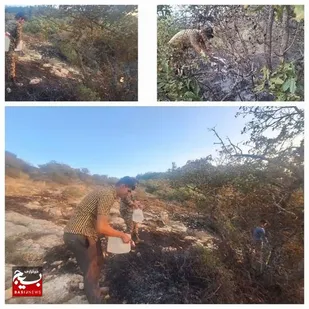 مهار آتش سوزی جنگل های روستای هاور شهرستان سملقان توسط بسیجیان