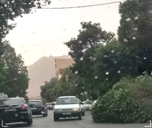 هشدار وزش باید شدید در پایتخت