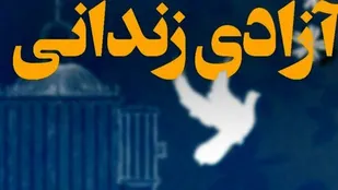 فعالیت جهادی حقوق دانان نصف جهان برای آزادی زندانیان جرایم غیرعمد